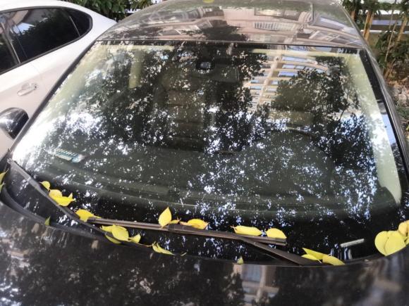 [上海·沪A] 二手大众帕萨特2011款 1.8TSI DSG尊荣版