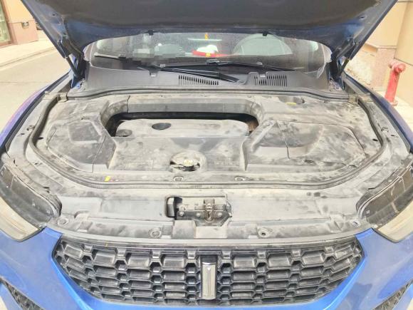 [温州·浙C] 二手魏牌魏牌 VV52019款 升级款 2.0T 两驱旗舰型 国V