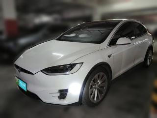特斯拉Model X2019款 长续航版