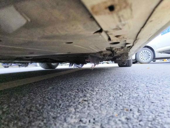 [台州·浙J] 二手宝马宝马4系2014款 428i 敞篷风尚设计套装