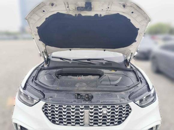 [合肥·皖A] 二手魏牌魏牌 VV52020款 1.5T 两驱颜先锋