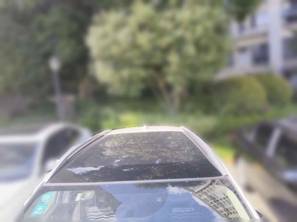 [南京·苏A] 二手日产逍客2017款 2.0L CVT豪华版 国V