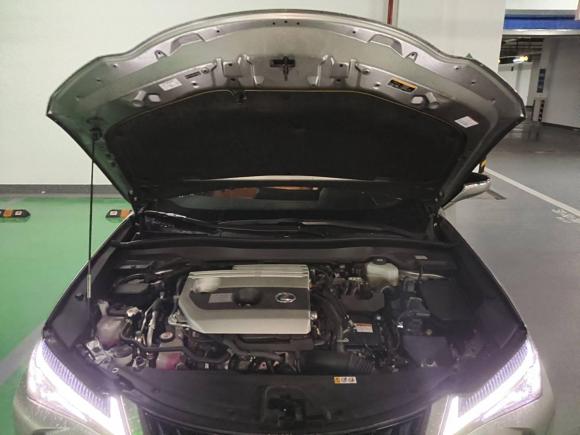 [杭州·浙A] 二手雷克萨斯雷克萨斯UX2020款 260h 探·趣版