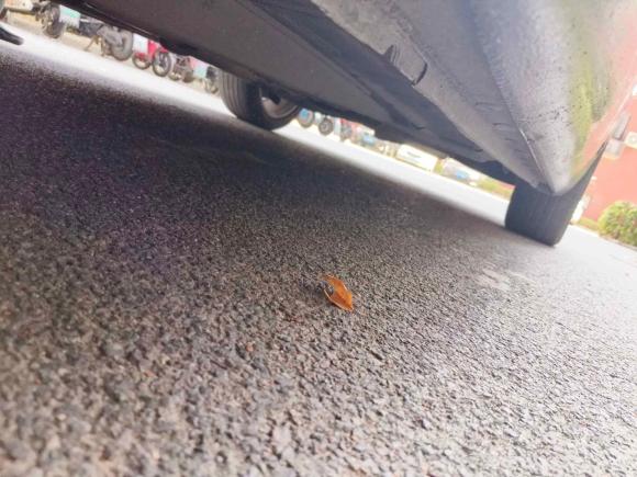 [上海·苏F] 二手别克君威2010款 2.0T 豪华运动版