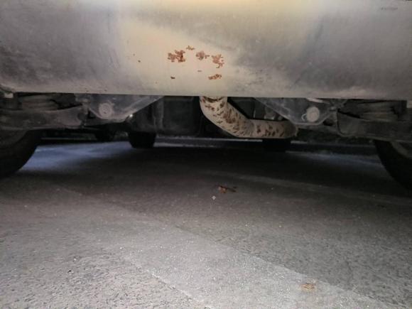 [合肥·皖A] 二手凯迪拉克凯迪拉克XT52018款 25T 豪华型