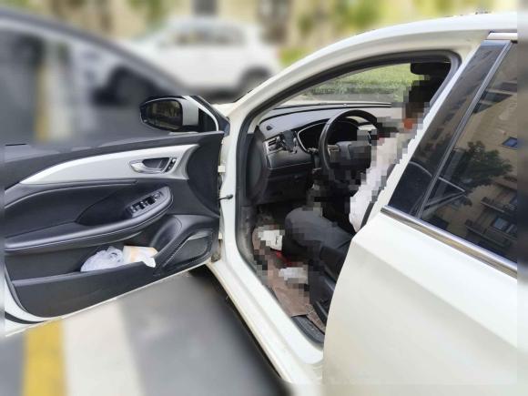 [上海·沪A] 二手飞凡汽车飞凡ER62021款 新动版 620km 智行版