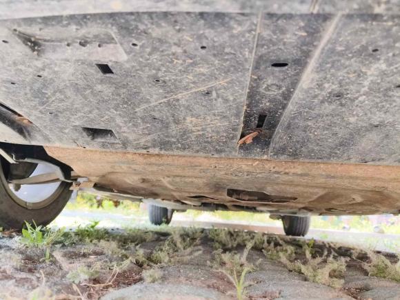 [青岛·鲁B] 二手雪铁龙世嘉2016款 经典 三厢 1.6L 手动品尚型