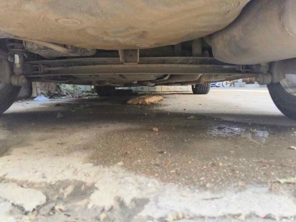 [武汉·鄂A] 二手吉利汽车帝豪2014款 两厢 1.3T CVT精英型