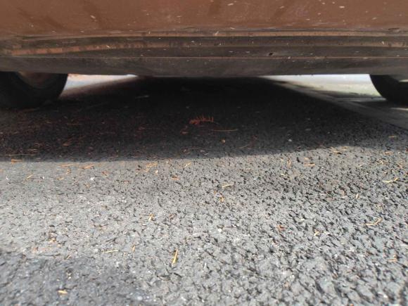 [上海·沪L] 二手沃尔沃沃尔沃S602012款 T5 智雅版