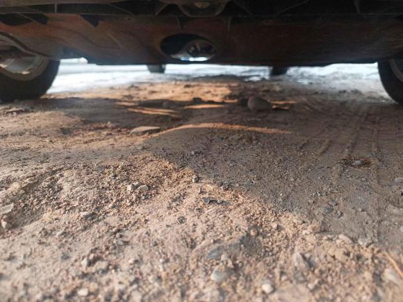 [北京·京P] 二手大众捷达2015款 质惠版 1.6L 手动舒适型