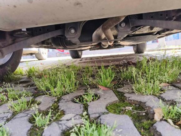 [武汉·鄂A] 二手哈弗哈弗赤兔2021款 激擎版 1.5T 黄金兔