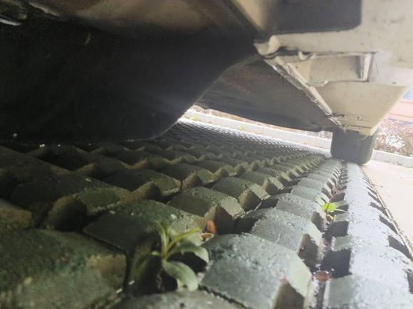 [嘉兴·豫S] 二手本田思域2016款 220TURBO CVT豪华版