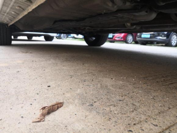 [上海·皖A] 二手江淮瑞风S22015款 1.5L 手动豪华智能型