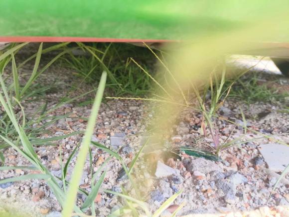 [嘉兴·浙C] 二手宝马宝马3系2009款 330i敞篷轿跑车