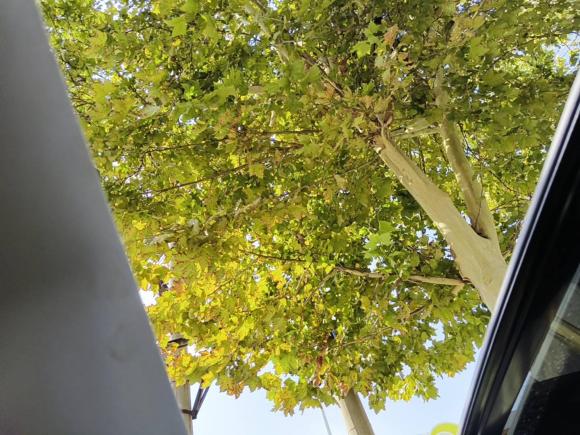 [西安·陕A] 二手日产奇骏2014款 2.0L CVT舒适版 2WD