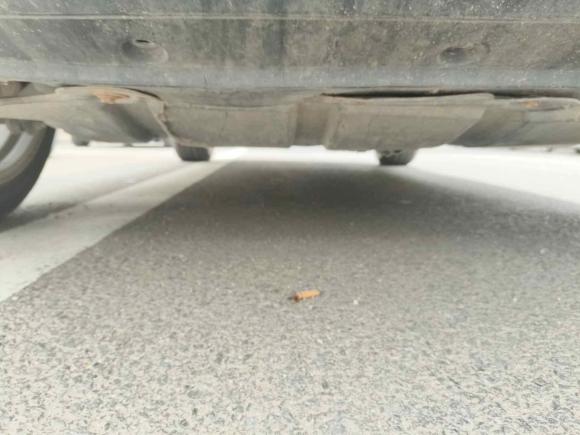 [青岛·鲁B] 二手英菲尼迪英菲尼迪FX2010款 FX35 超越版