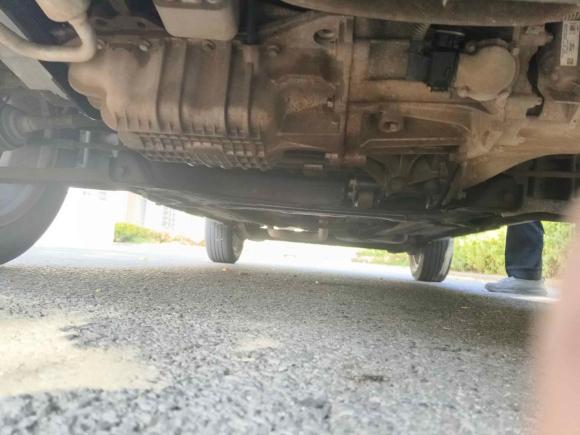 [上海·苏E] 二手福特翼搏2013款 1.5L 自动风尚型