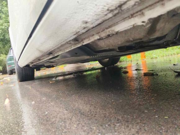 [合肥·皖A] 二手大众高尔夫2019款 280TSI DSG舒适型 国V