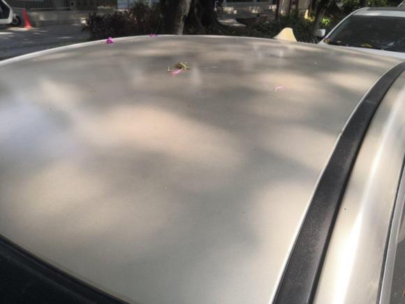 [深圳·粤B] 二手海马福美来2014款 M5 1.6L 自动精英型