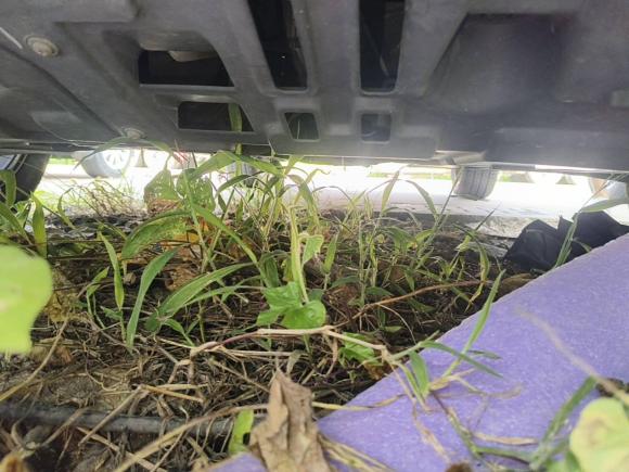 [佛山·粤E] 二手长安长安CS35PLUS2019款 1.6L 手动畅联版