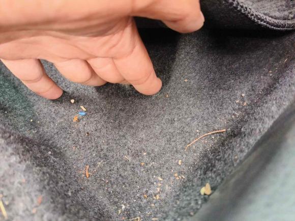 [合肥·浙B] 二手丰田亚洲龙2019款 2.0L 豪华版 国VI