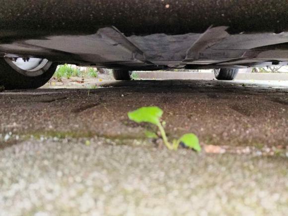 [杭州·浙A] 二手奥迪奥迪TT2015款 TT Coupe 45 TFSI quattro