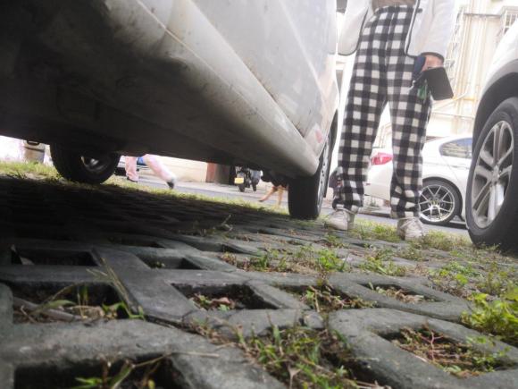 [湖州·浙E] 二手铃木奥拓2009款 1.0L 自动豪华型