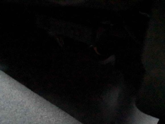 [常州·苏D] 二手宝骏宝骏RM-52019款 1.5T CVT 24小时在线尊贵型 5座