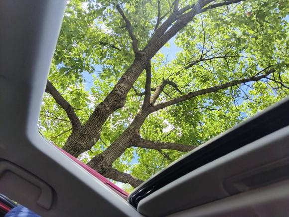 [上海·浙F] 二手长城炮2020款 2.0T越野版自动汽油四驱高阶版GW4C20B