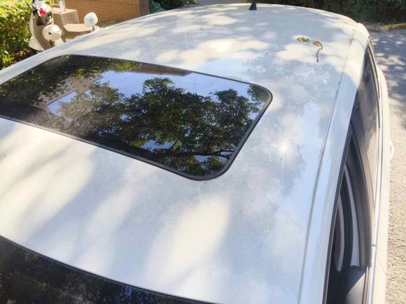 [上海·沪C] 二手斯柯达昕动2020款 1.5L 自动舒适版