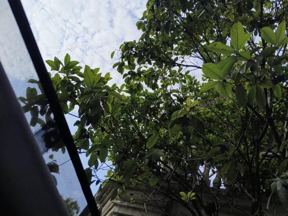 [上海·沪A] 二手别克君威2015款 GS 2.0T 燃情运动版