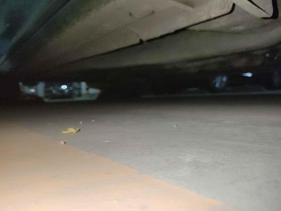 [济南·鲁A] 二手奇瑞艾瑞泽52016款 1.5L CVT领锐版