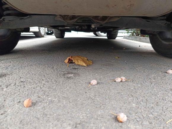 [北京·京N] 二手沃尔沃沃尔沃XC602015款 T5 AWD 智远版