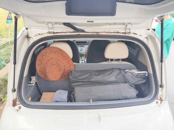 [杭州·粤B] 二手欧拉欧拉白猫2020款 401km 旗舰型