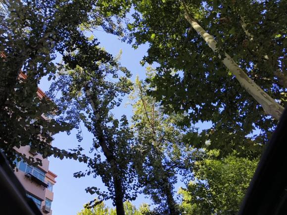 [西安·陕A] 二手丰田YARiS L 致炫2015款 1.5G 自动炫动天窗特别版