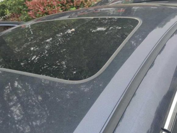 [合肥·皖A] 二手本田思域2016款 220TURBO CVT尊贵版