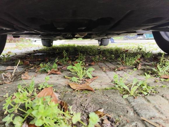 [苏州·苏U] 二手宝马宝马X12020款 sDrive20Li 时尚型