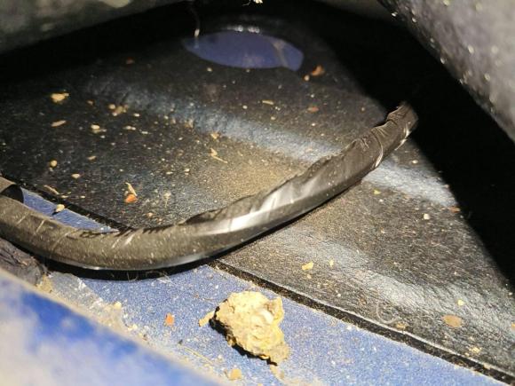 [成都·渝A] 二手长城炮2019款 2.0T商用版手动柴油四驱精英型长箱GW4D20M