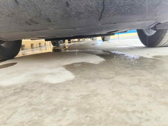 [上海·沪A] 二手比亚迪比亚迪e22019款 高续航版 创·尊贵型