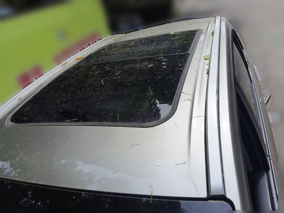 [上海·沪A] 二手埃安AION Y2022款 Plus 70 智领版