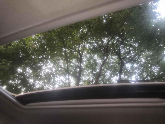 [湖州·浙E] 二手福特翼搏2013款 1.5L 自动尊贵型