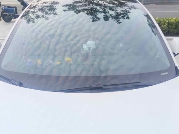 [上海·沪A] 二手特斯拉Model 32021款 标准续航后驱升级版