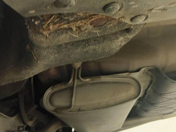 [嘉兴·浙F] 二手福特福克斯2019款 三厢 EcoBoost 180 自动锋潮型