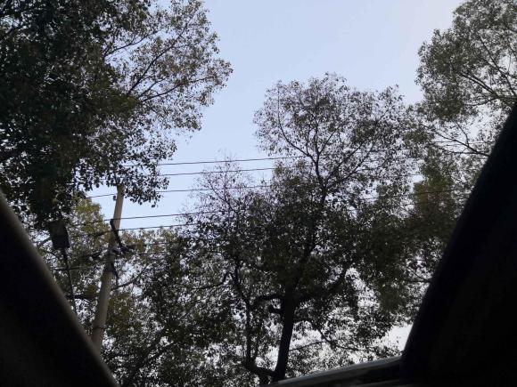 [上海·苏U] 二手宝骏宝骏5602016款 1.8L iAMT豪华型