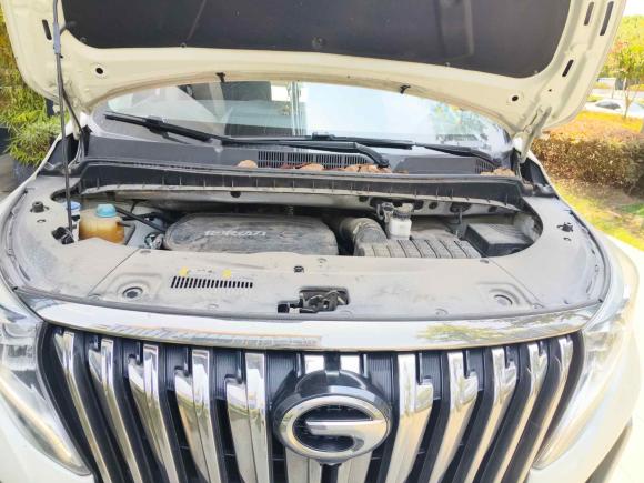 [上海·沪D] 二手广汽传祺传祺M82021款 大师系列 390T 至尊版