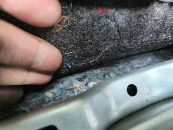 [武汉·鄂A] 二手斯柯达昕锐2013款 1.6L 自动智选型