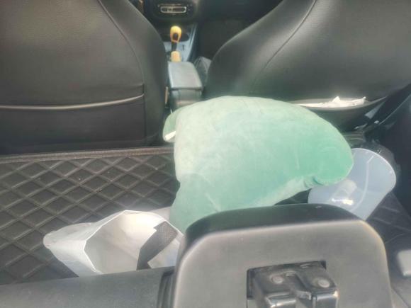 [温州·浙C] 二手smartsmart fortwo2018款 0.9T 66千瓦硬顶先锋版 国V