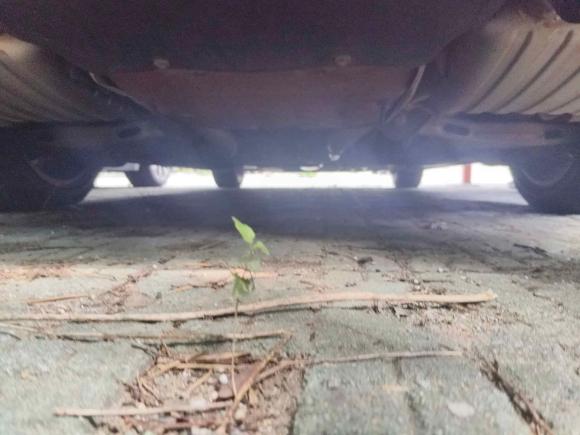 [苏州·苏E] 二手捷豹捷豹XE2015款 2.0T 200PS R-Sport