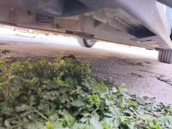 [济南·鲁A] 二手奔腾奔腾NAT2023款 PRO 悦享出行版 419km