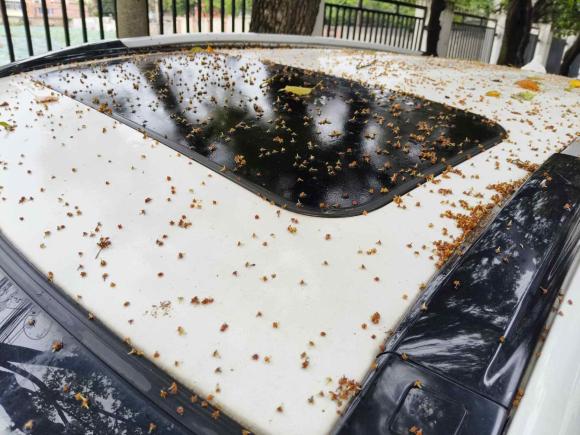 [常州·苏H] 二手哈弗哈弗H62021款 运动版 1.5T 自动精英智联型 六边形格栅